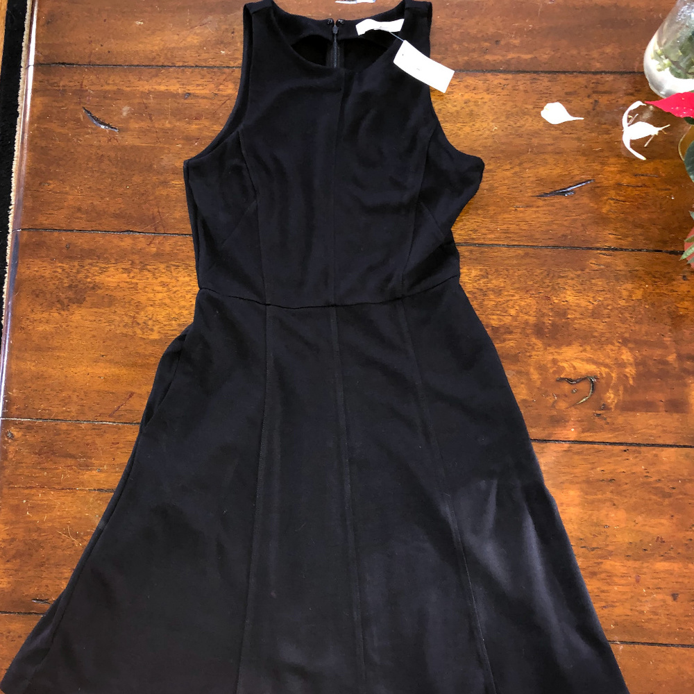 LOFT Ponte Pocket Flare Dress